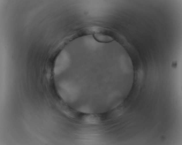 X0000113180331200910161338