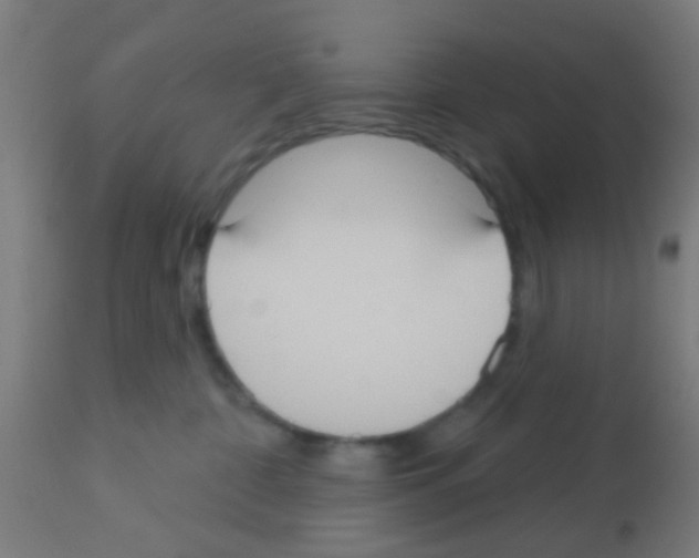 X0000113180332200910161338