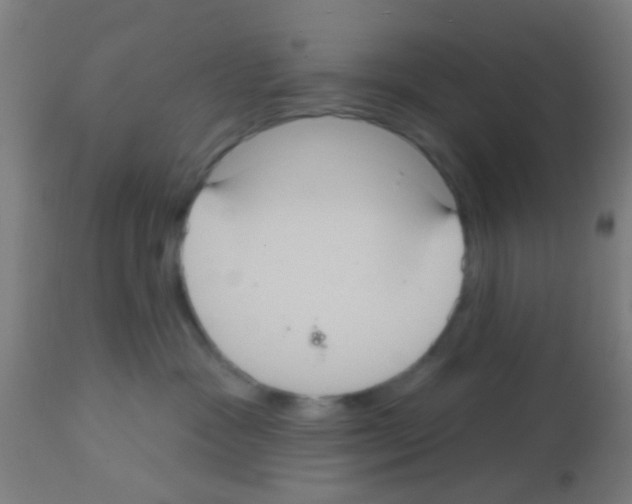 X0000113180333200910161338