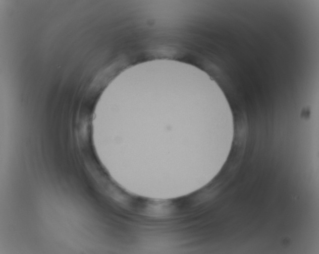 X0000113180334200910161338