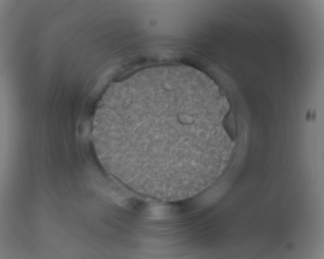 X0000113180336200910161338