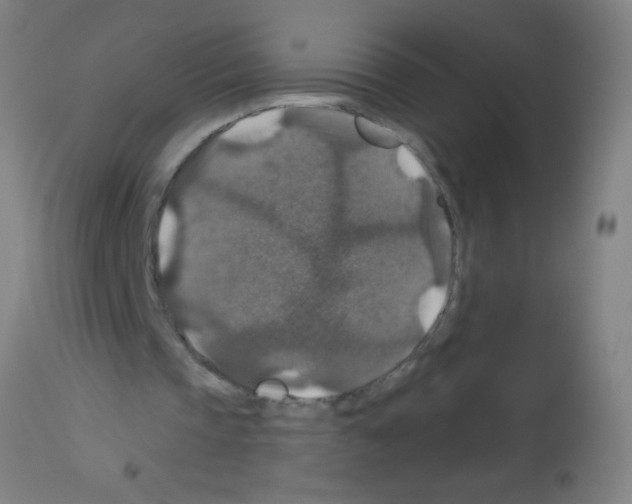X0000113180337200910161337