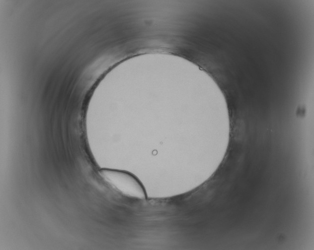 X0000113180338200910161337