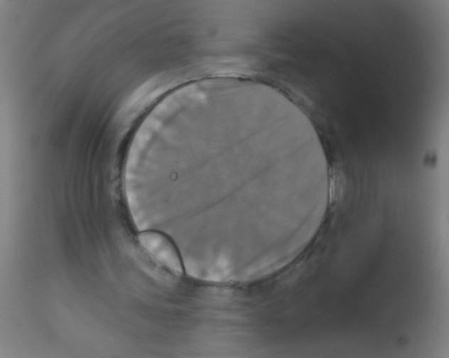 X0000113180339200910161337