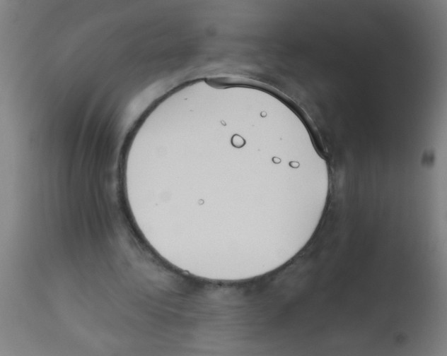 X0000113180340200910161337