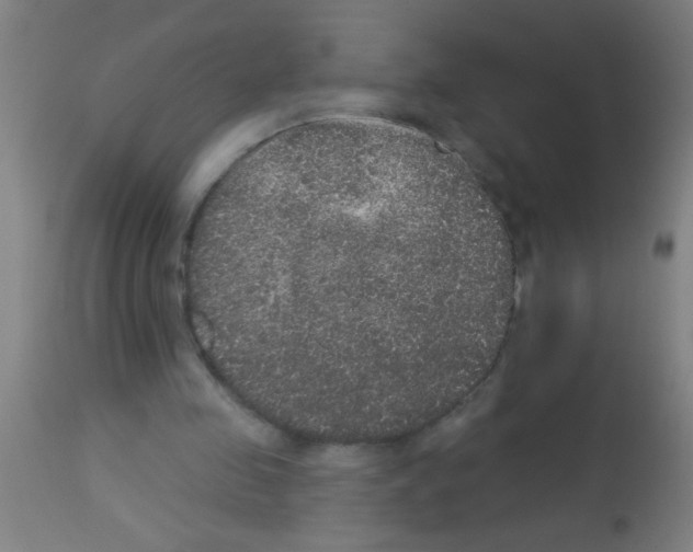 X0000113180341200910161337