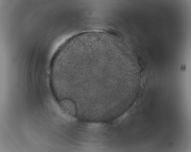 X0000113180342200910161337