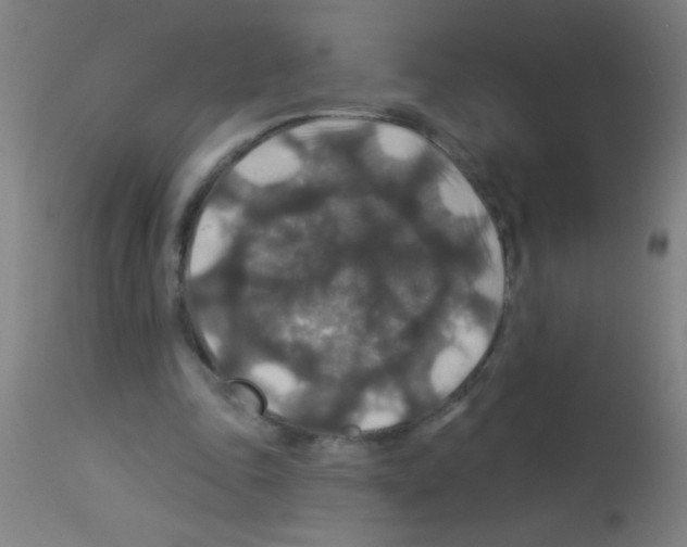 X0000113180343200910161337