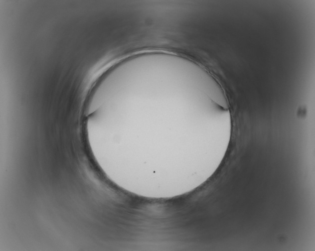 X0000113180344200910161337