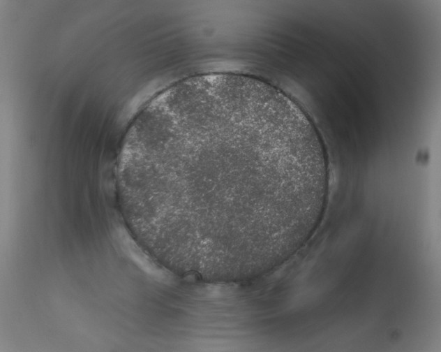 X0000113180345200910161337