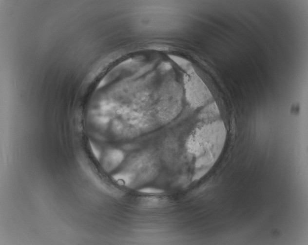 X0000113180347200910161337