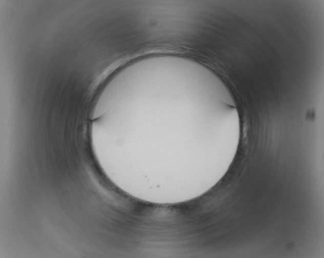 X0000113180348200910161337
