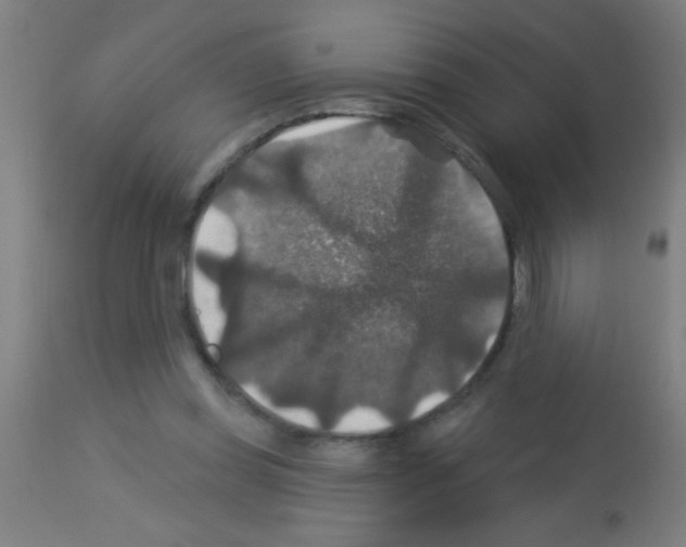 X0000113180349200910161337