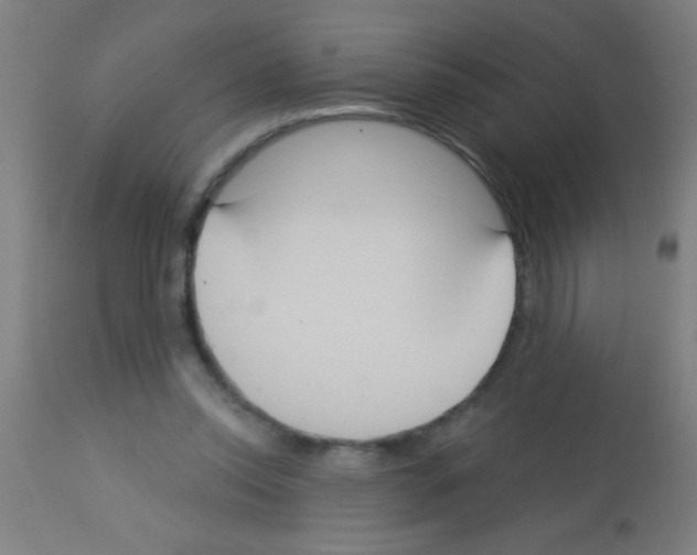 X0000113180350200910161337