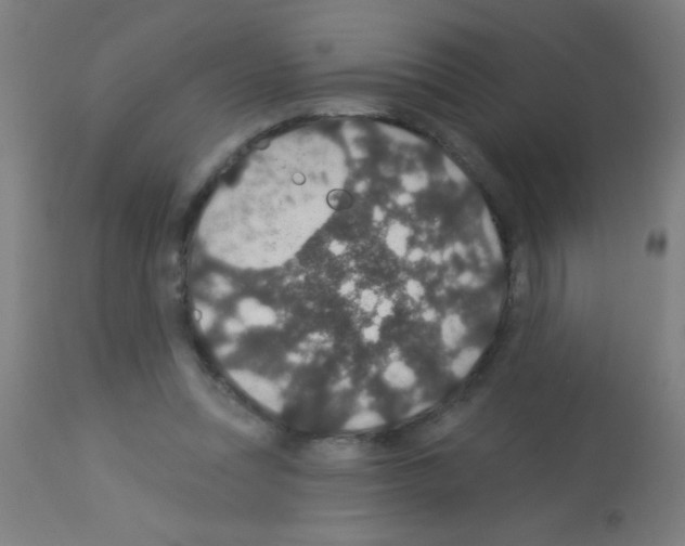 X0000113180351200910161337