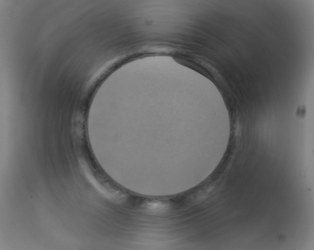X0000113180352200910161337