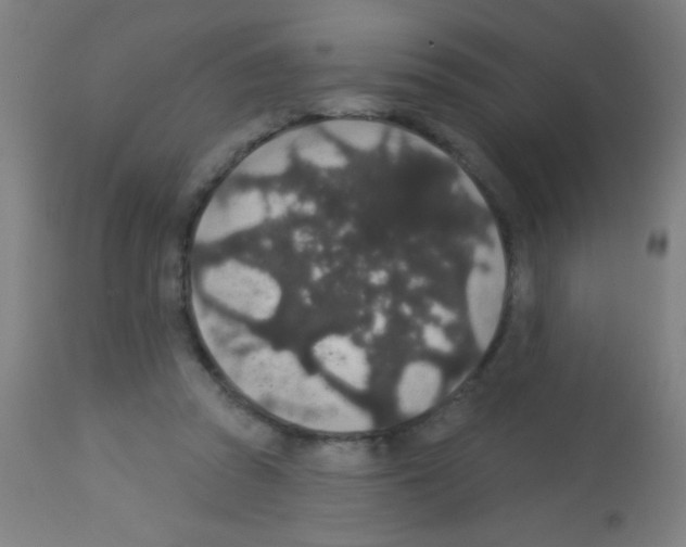 X0000113180353200910161337