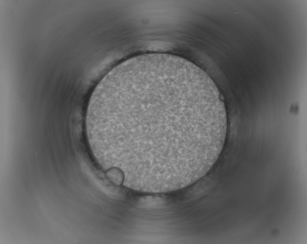 X0000113180354200910161337