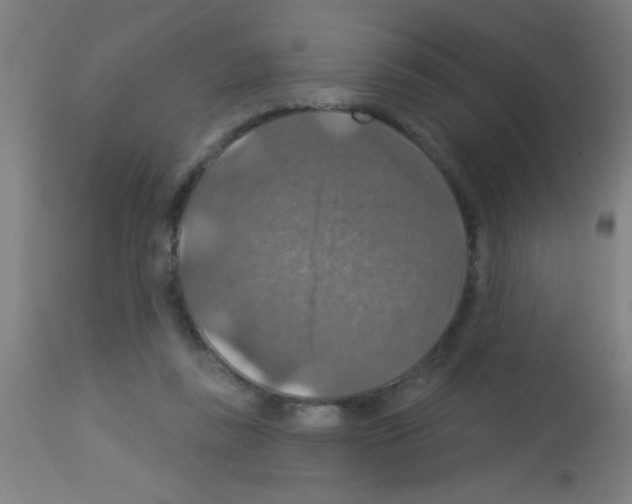 X0000113180355200910161337