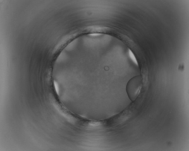 X0000113180357200910161337