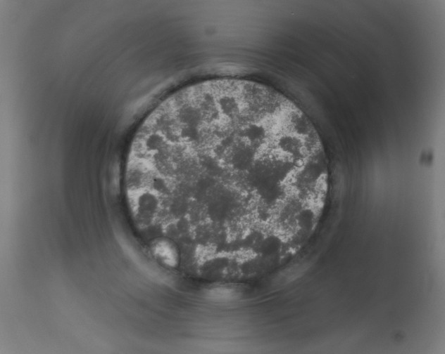 X0000113180358200910161337