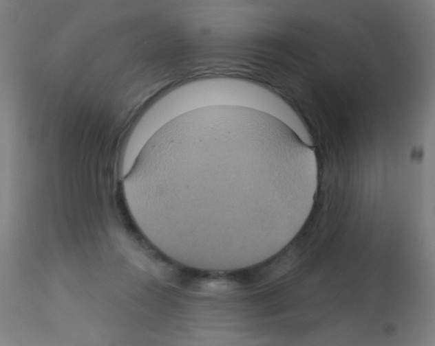 X0000113180360200910161337