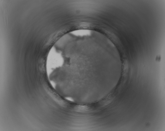X0000113180361200910161337