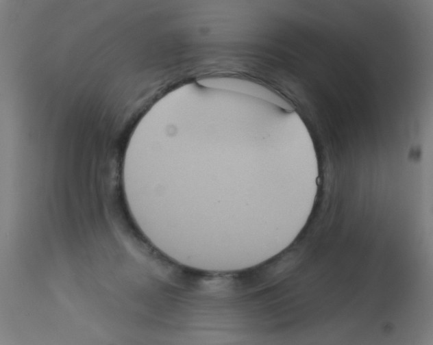 X0000113180362200910161337