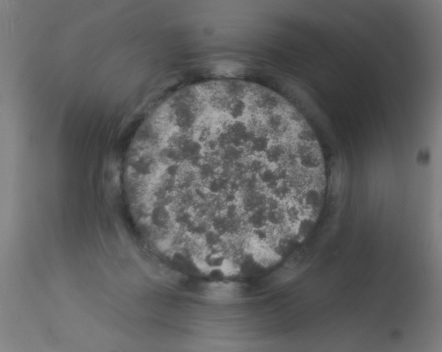 X0000113180363200910161337