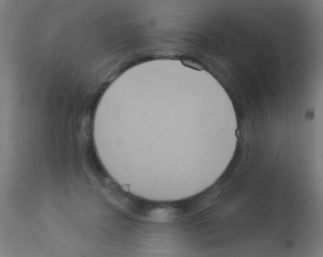 X0000113180364200910161337