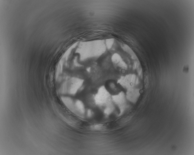 X0000113180365200910161337