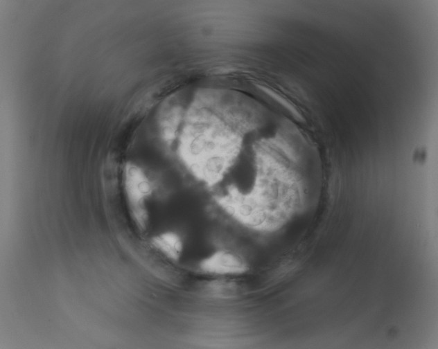 X0000113180366200910161337