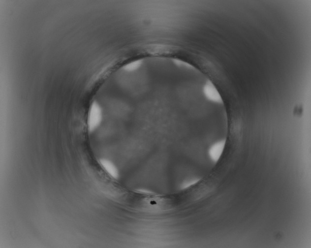 X0000113180367200910161337