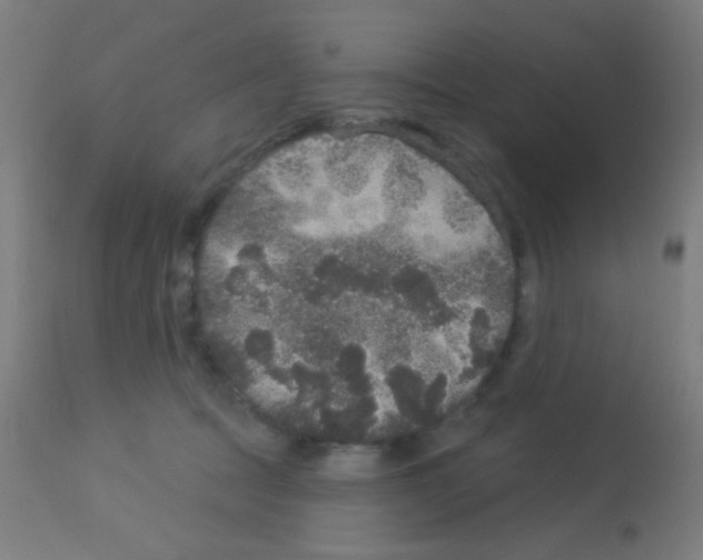 X0000113180369200910161337