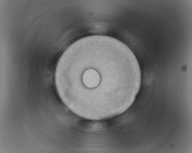 X0000113180370200910161337