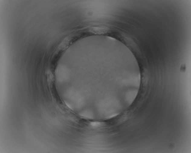 X0000113180371200910161337