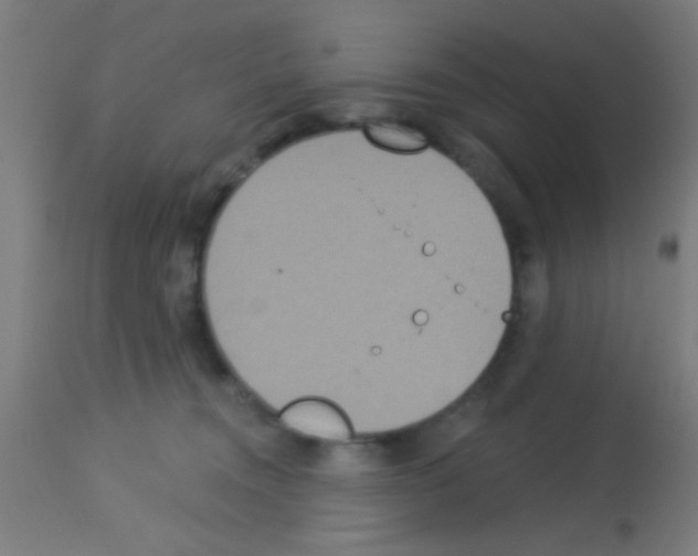 X0000113180372200910161337