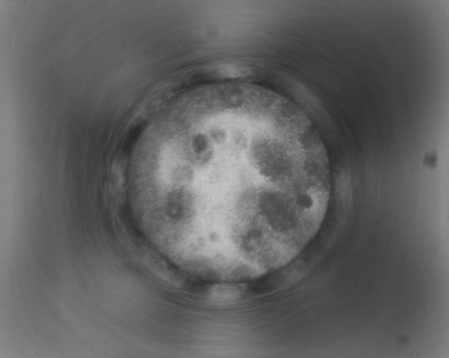 X0000113180373200910161337