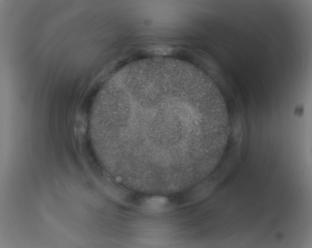 X0000113180374200910161337