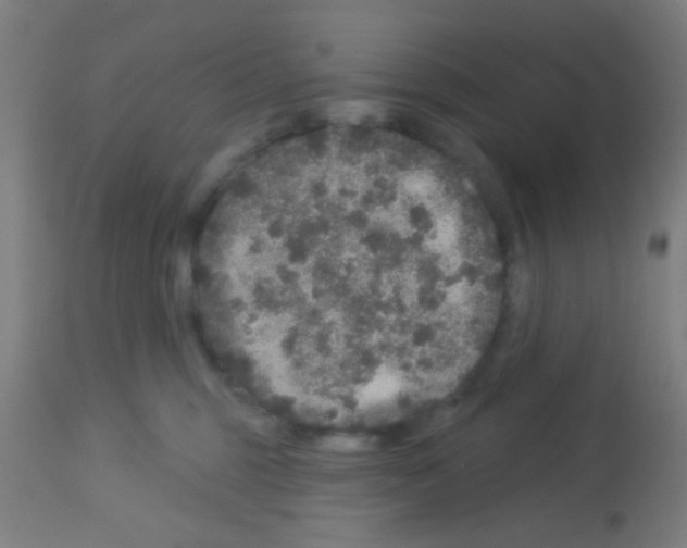 X0000113180375200910161337