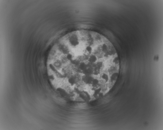 X0000113180377200910161337