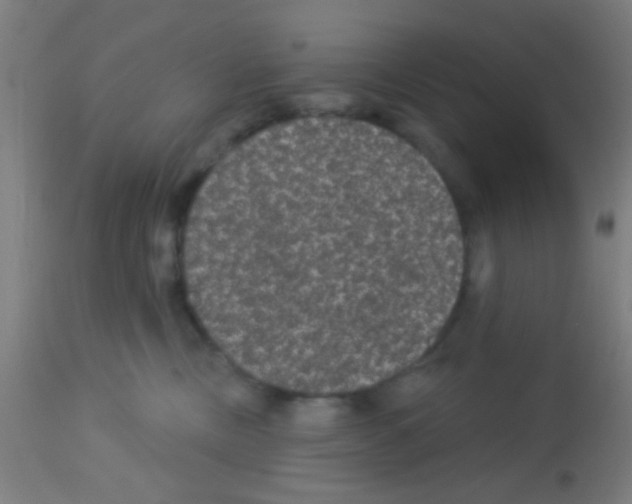 X0000113180378200910161337