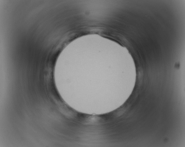 X0000113180379200910161337