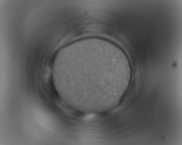 X0000113180382200910161337