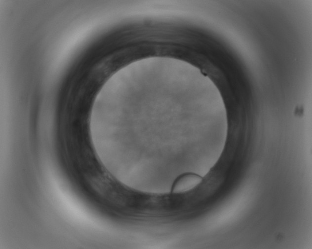 X0000113180383200910161337