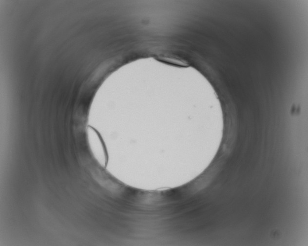 X0000113180384200910161338