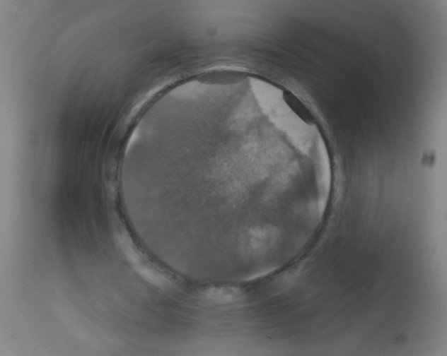 X0000113180386200910161337
