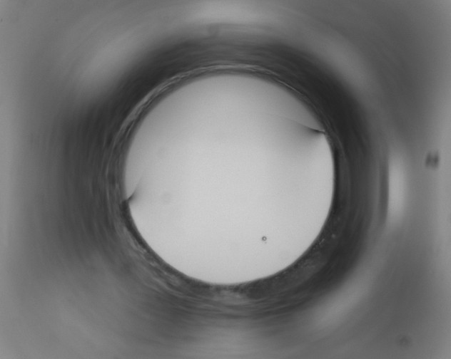 X0000113180387200910161337