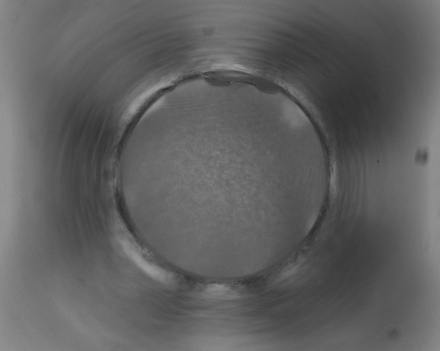 X0000113180390200910161337
