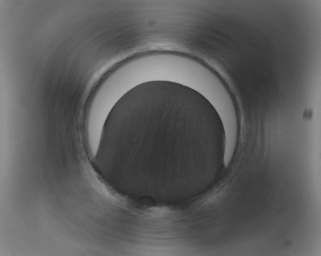 X0000113180391200910161337